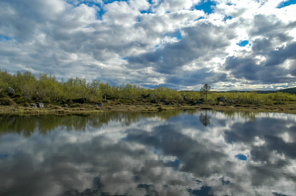 Foto-Reportage-Geografico-Karasjok_Lakselv 004