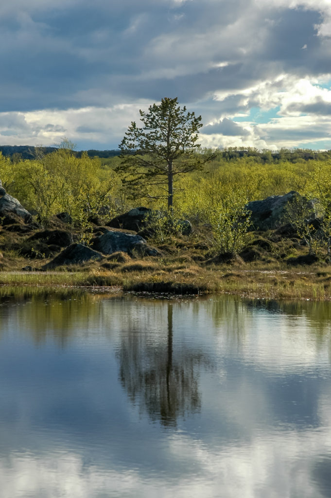 Foto-Reportage-Geografico-Karasjok_Lakselv 007