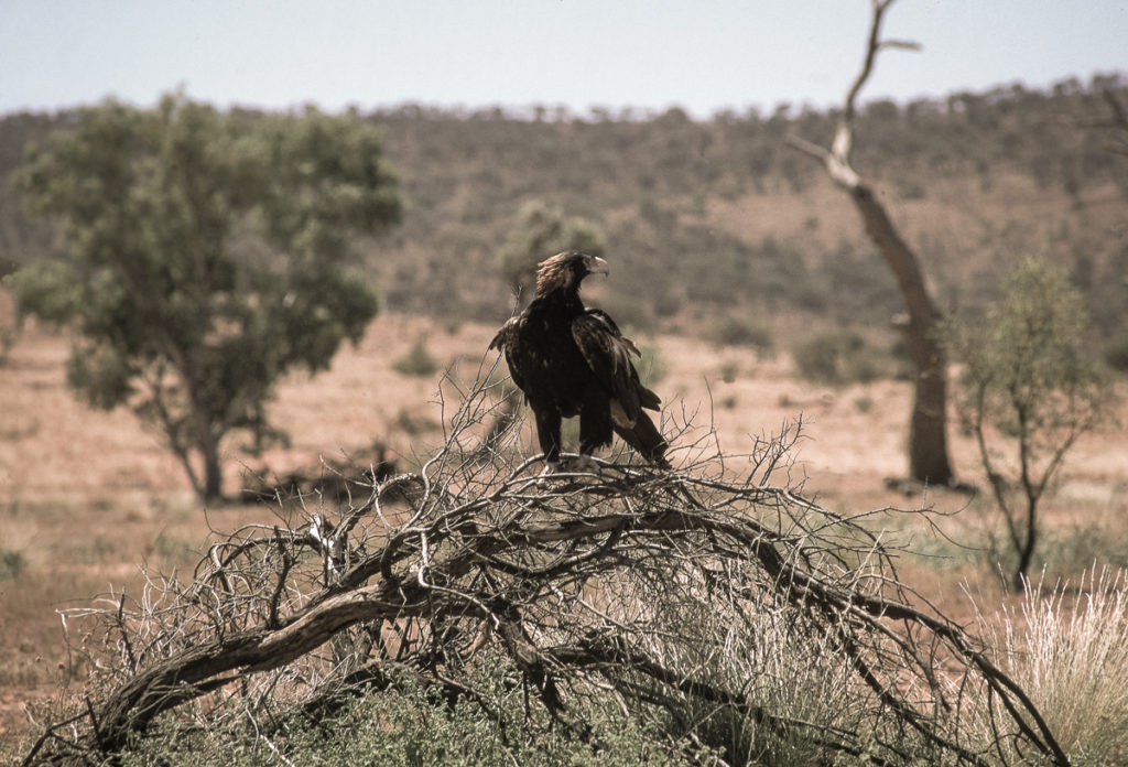 Foto-Reportage-Geografico-OZ