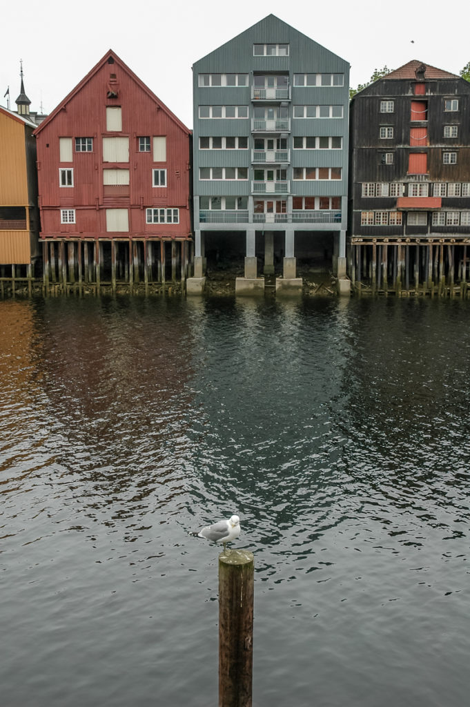 Foto-Reportage-Geografico-Trondheim 120